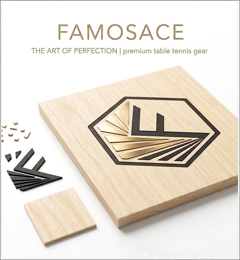 Famosace Profesyonel Masa Tenisi