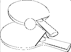 Famosace Hardcase Kılıf