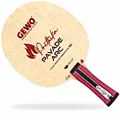 GEWO Prithika Pavade ARC OFF