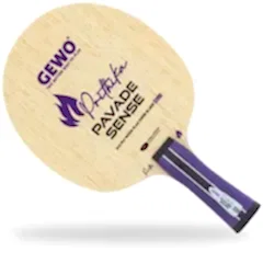 GEWO Prithika Pavade Sense All+