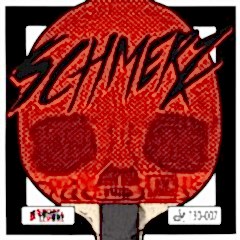 Sauer & Tröger Schmerz